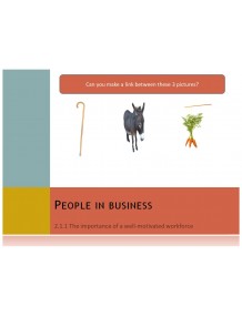 Cambridge iGCSE Business Studies Topic 2 People in Business Multimedia